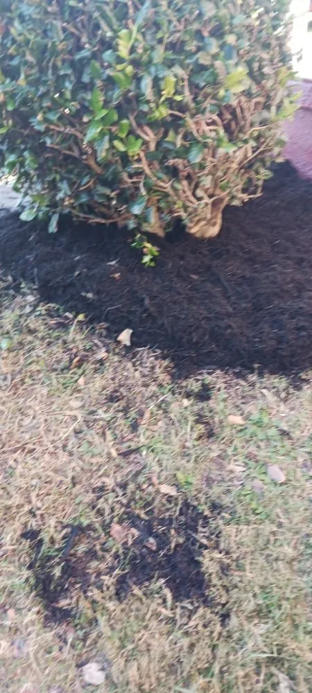 Local landscape installation in Danville, VA - Blessed Hands Landscaping