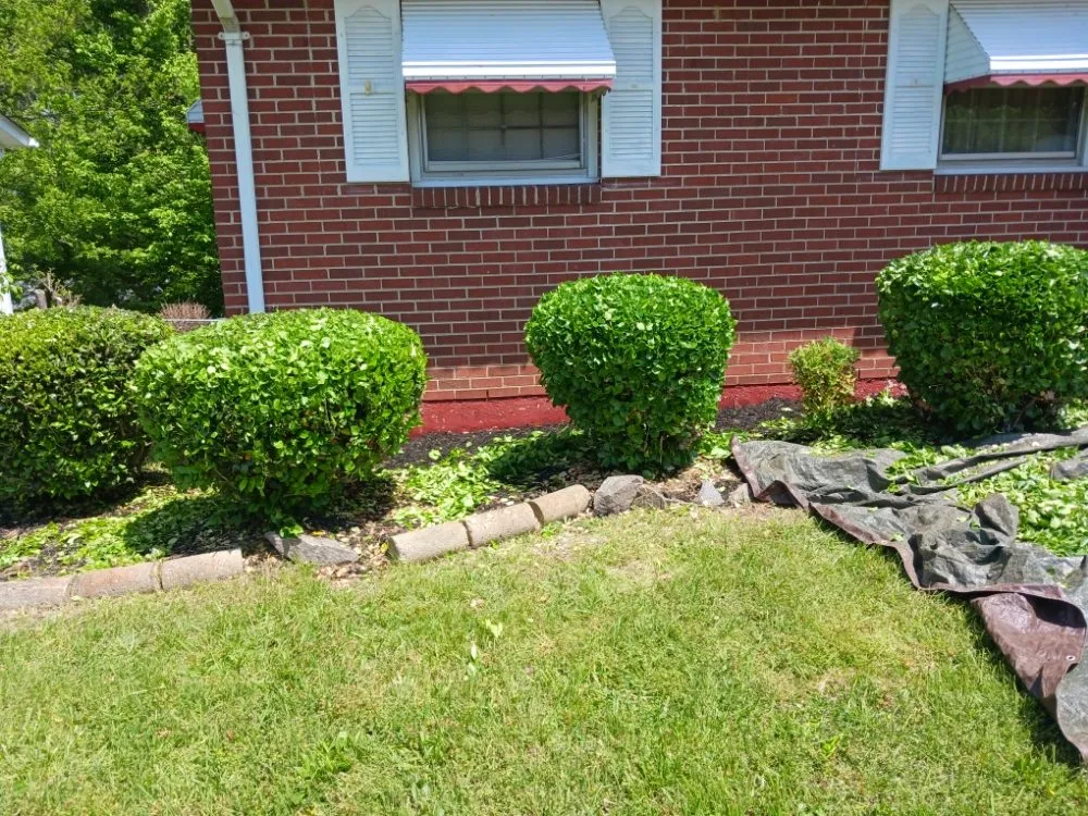 Expert yard maintenance in Danville, VA - Blessed Hands Landscaping
