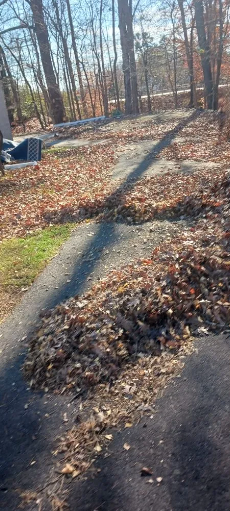 Top-rated outdoor landscaping near you in Danville, VA by Blessed Hands Landscaping