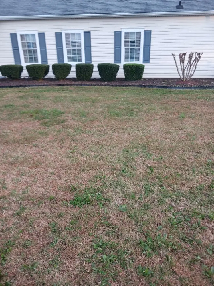 Custom lawn mowing service in Danville, VA by Blessed Hands Landscaping