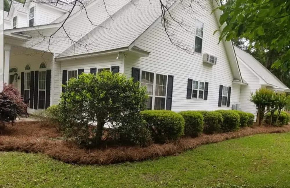 Professional yard cleanup service in Statesboro, GA by Blessed Hands Lawn Care