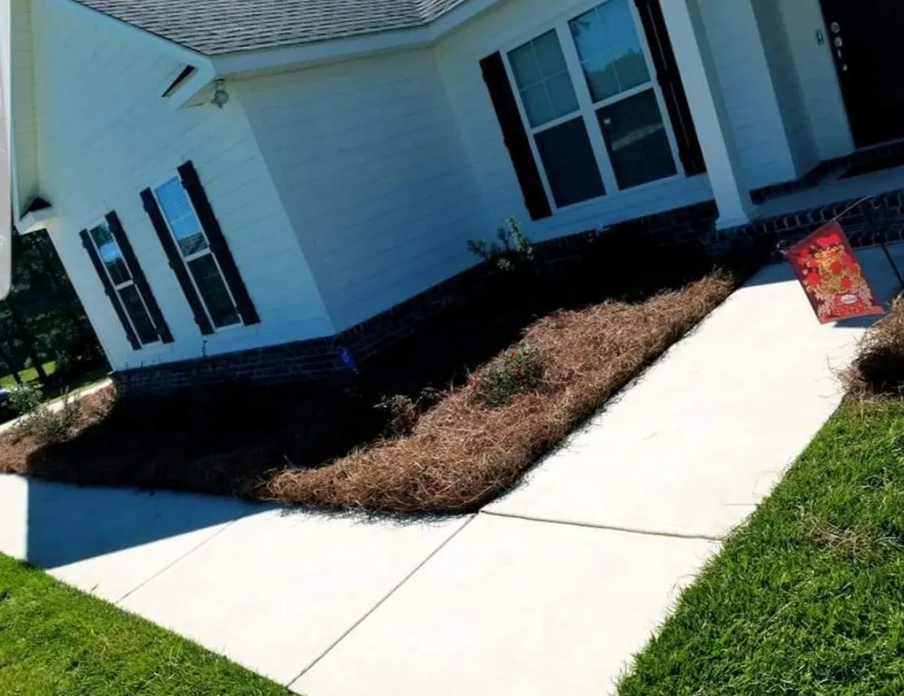 Trusted outdoor landscaping in Statesboro, GA - Blessed Hands Lawn Care