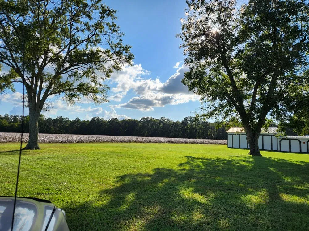 Reliable lawn mowing service in Statesboro, GA - Blessed Hands Lawn Care