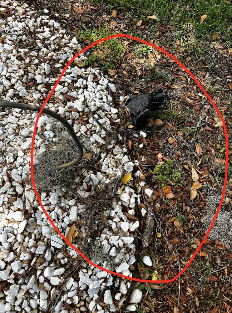 Affordable landscape installation experts serving Brooksville, FL - Blessed Hands Property Beautification