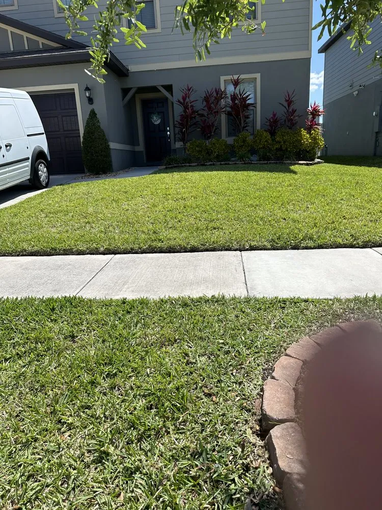 Professional yard maintenance in Haines City, FL - Blessed Landscaping