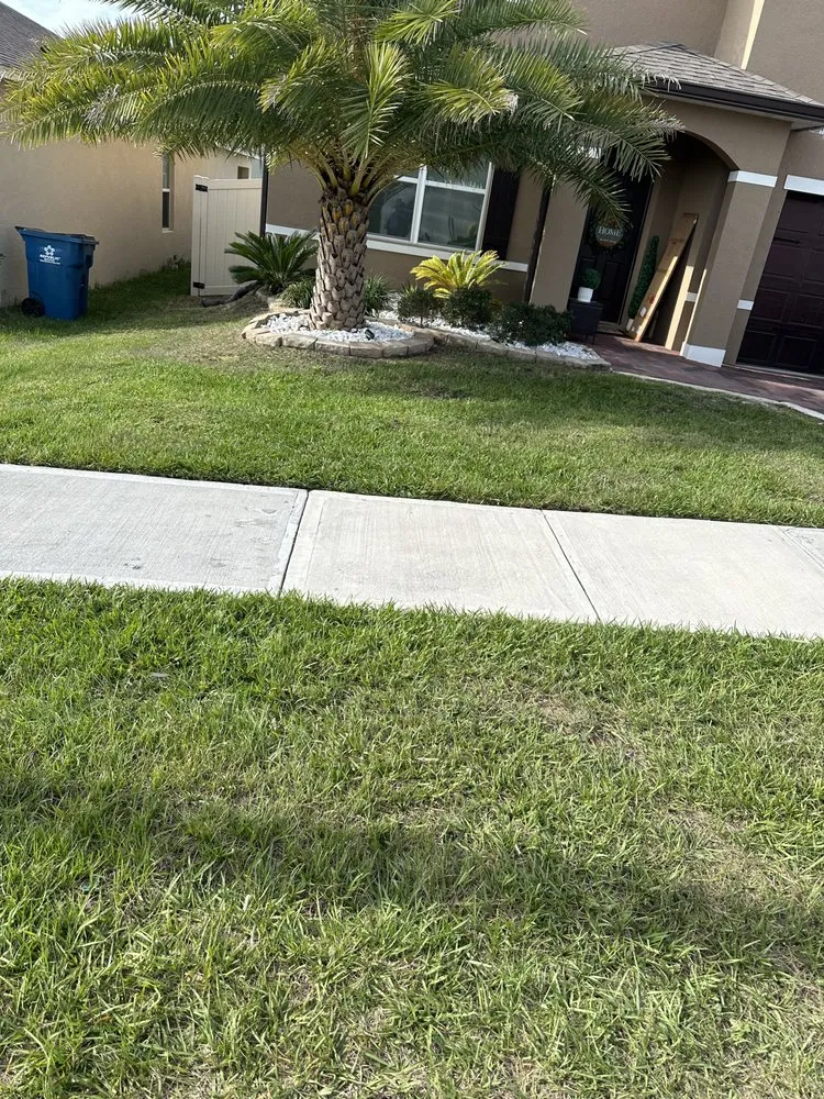 Custom landscaping services near you in Haines City, FL by Blessed Landscaping