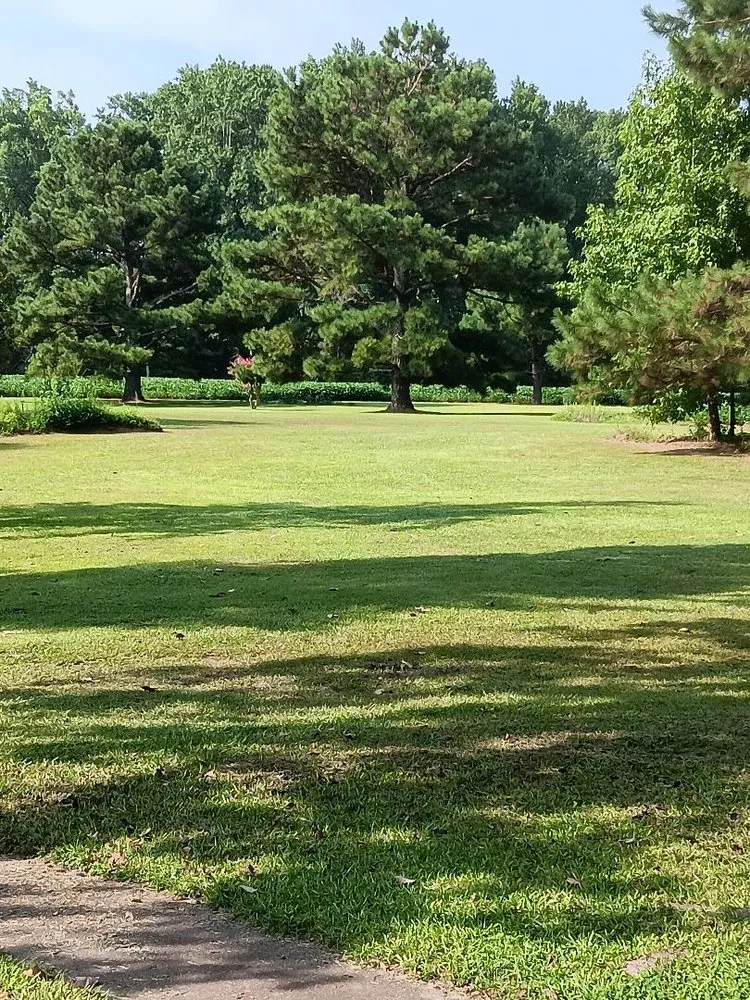 Top-rated landscape installation in Macclesfield, NC - Blessed Landscaping Lawn Care and Koi Pond Design