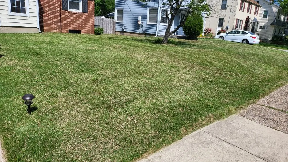 Expert landscape installation experts serving Philadelphia, PA - Blessed Landscaping