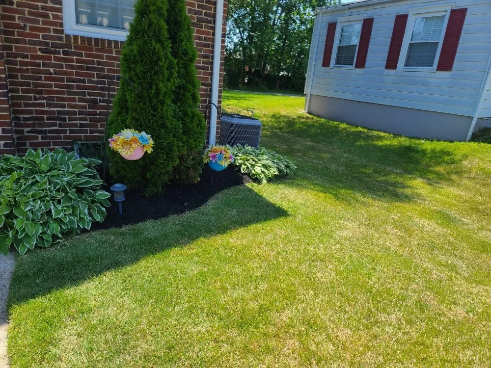 Affordable landscape installation for beautiful yards across Philadelphia, PA - Blessed Landscaping