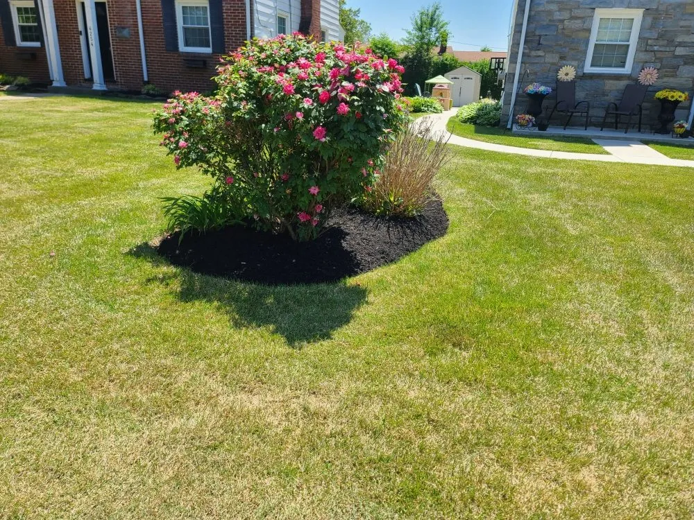 Custom landscaping services with custom design in Philadelphia, PA by Blessed Landscaping