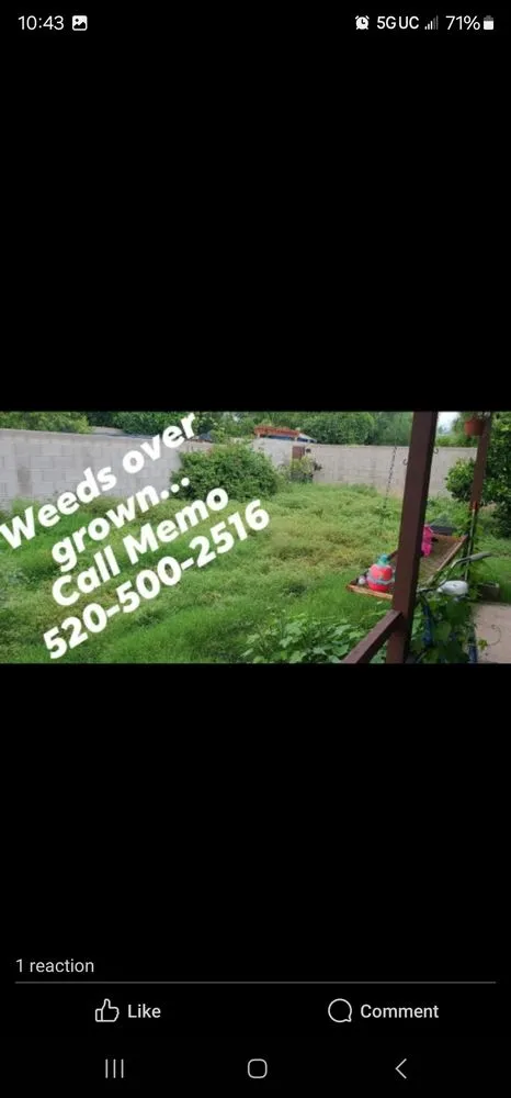 Trusted landscaping services in Tucson, AZ - Blessed Landscaping