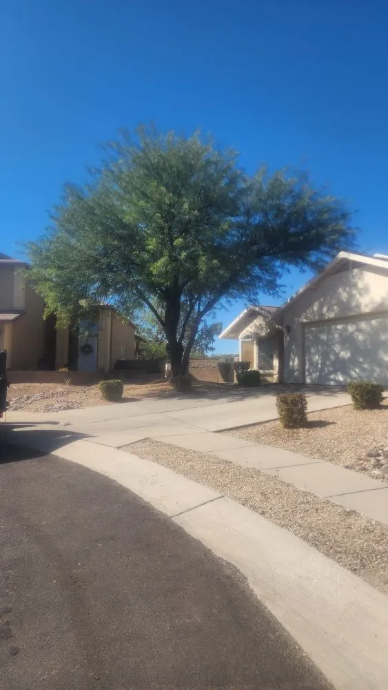 Reliable outdoor landscaping for outdoor upgrades across Tucson, AZ - Blessed Landscaping