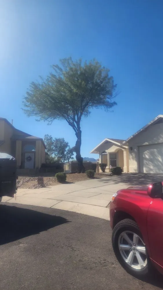 Local outdoor landscaping for beautiful yards in Tucson, AZ by Blessed Landscaping