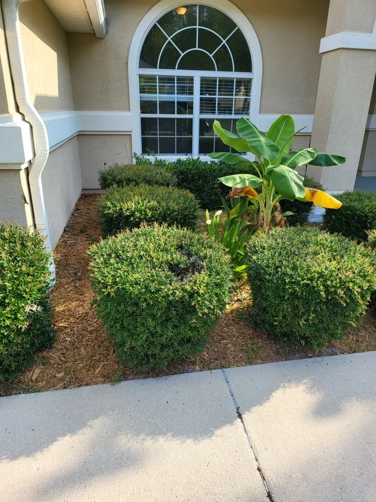Expert lawn mowing service in Jacksonville, FL by Blessed Touch Lawn Service
