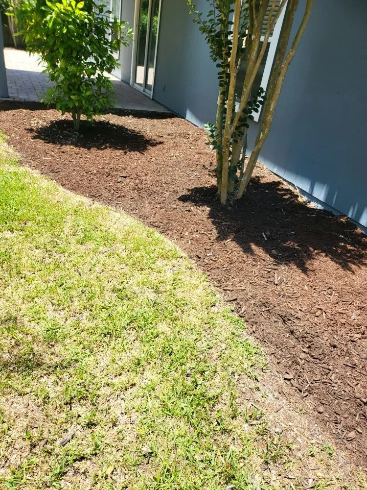 Reliable landscape design in Jacksonville, FL - Blessed Touch Lawn Service