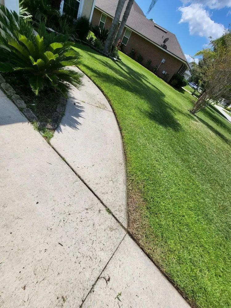 Trusted yard cleanup service near you in Jacksonville, FL by Blessed Touch Lawn Service