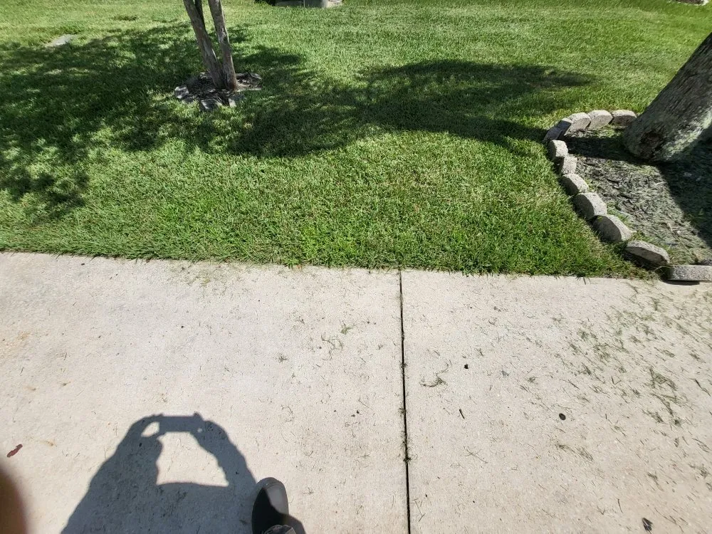 Affordable residential landscaping for year-round maintenance in Jacksonville, FL by Blessed Touch Lawn Service