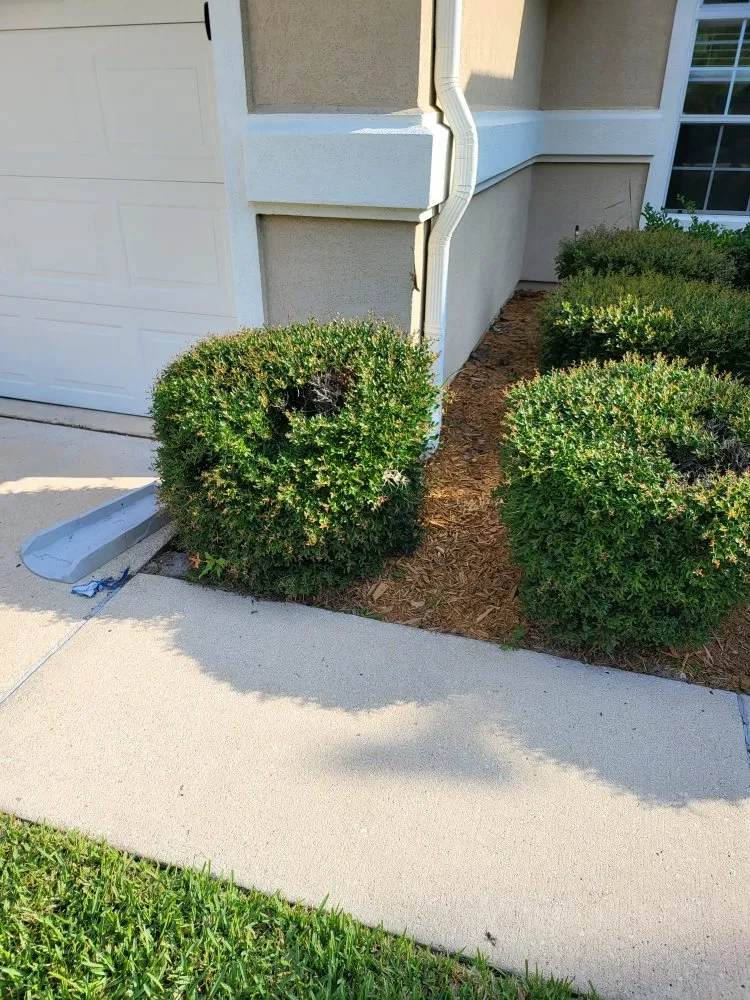 Top-rated landscape design in Jacksonville, FL - Blessed Touch Lawn Service