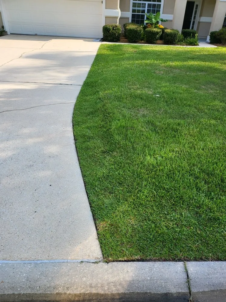 Reliable yard cleanup service for outdoor upgrades across Jacksonville, FL - Blessed Touch Lawn Service