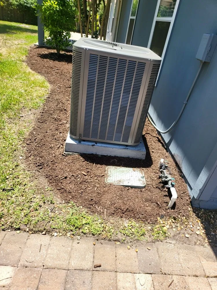 Top-rated yard cleanup service experts serving Jacksonville, FL - Blessed Touch Lawn Service