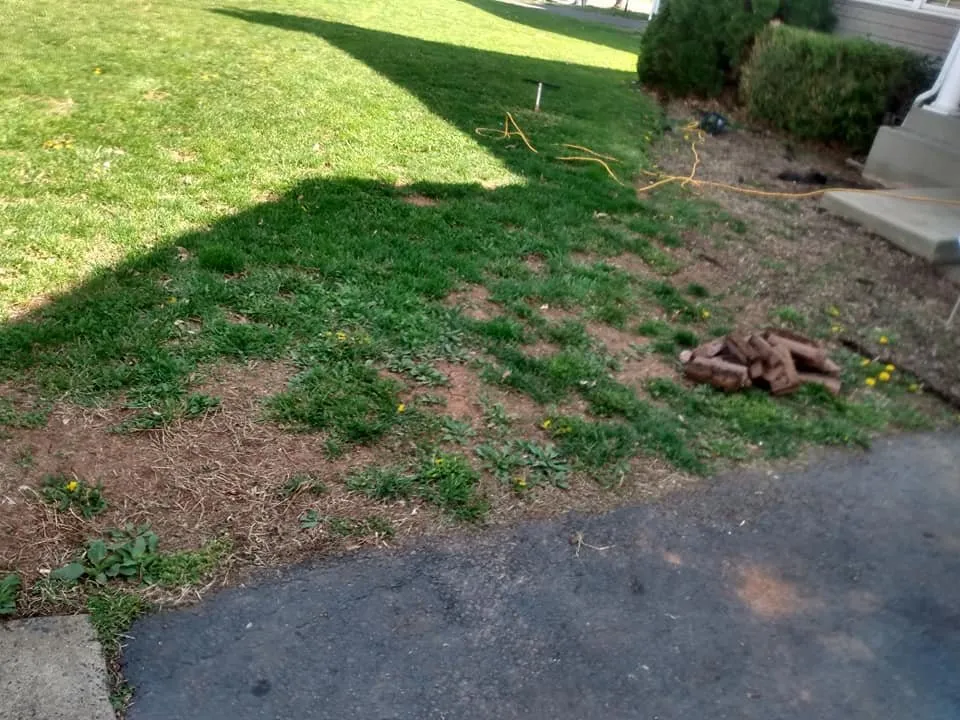 Professional lawn care service for beautiful yards across CULPEPER, VA - Blessed Work Services