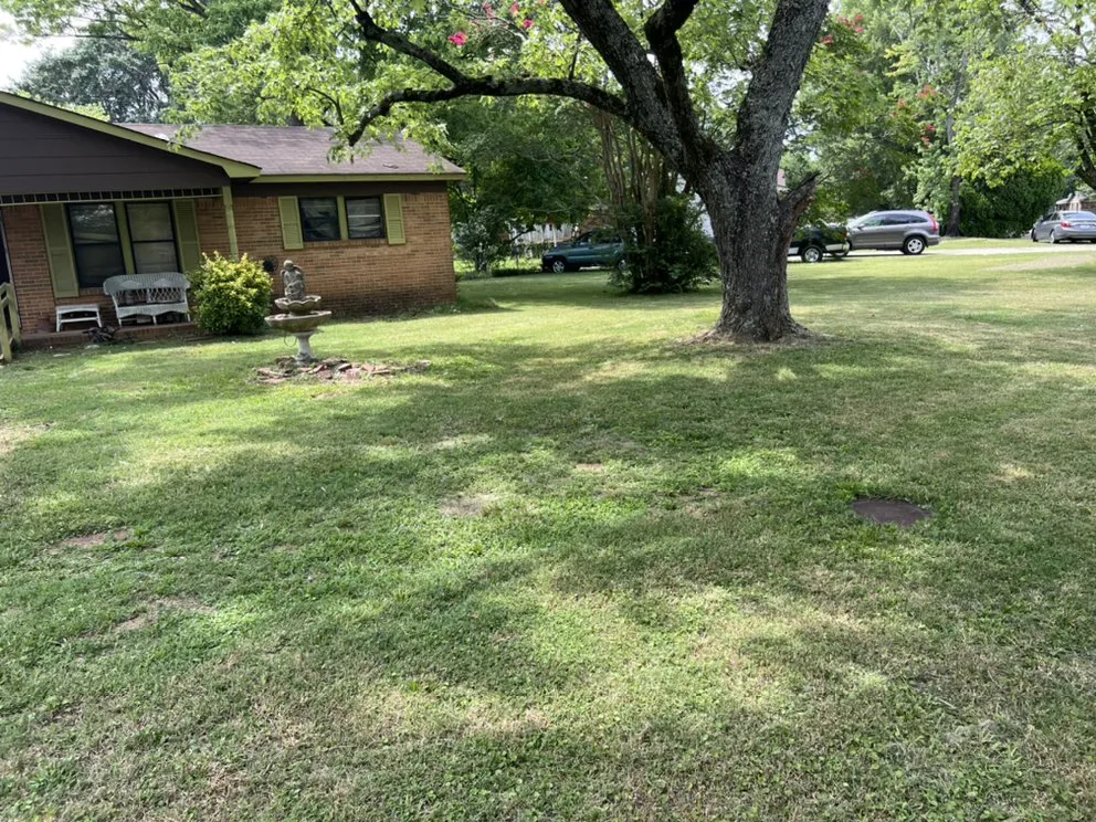 Custom lawn mowing service for outdoor upgrades in Decatur, AL by BlessedbyRO