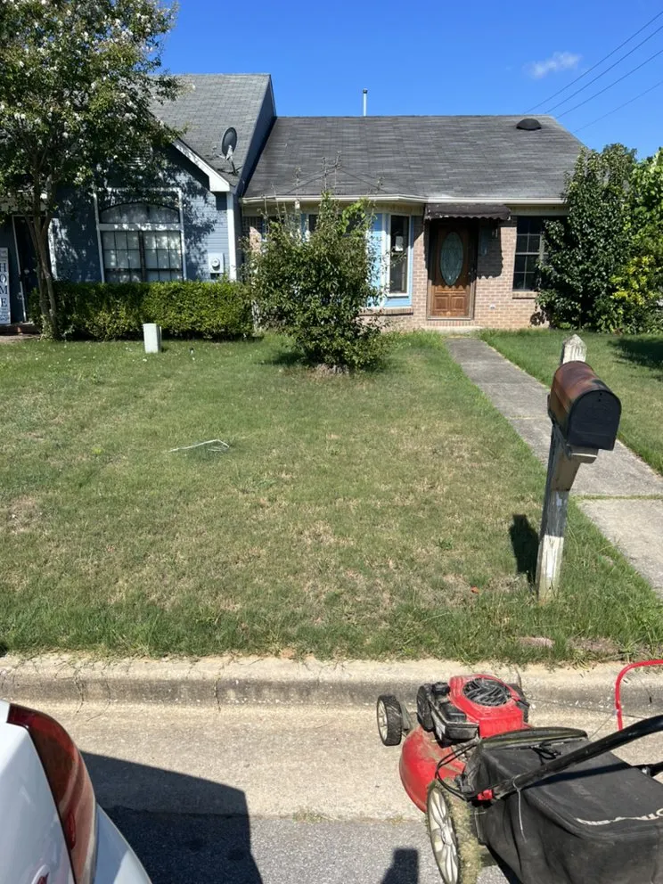 Local landscaping services in Decatur, AL - BlessedbyRO