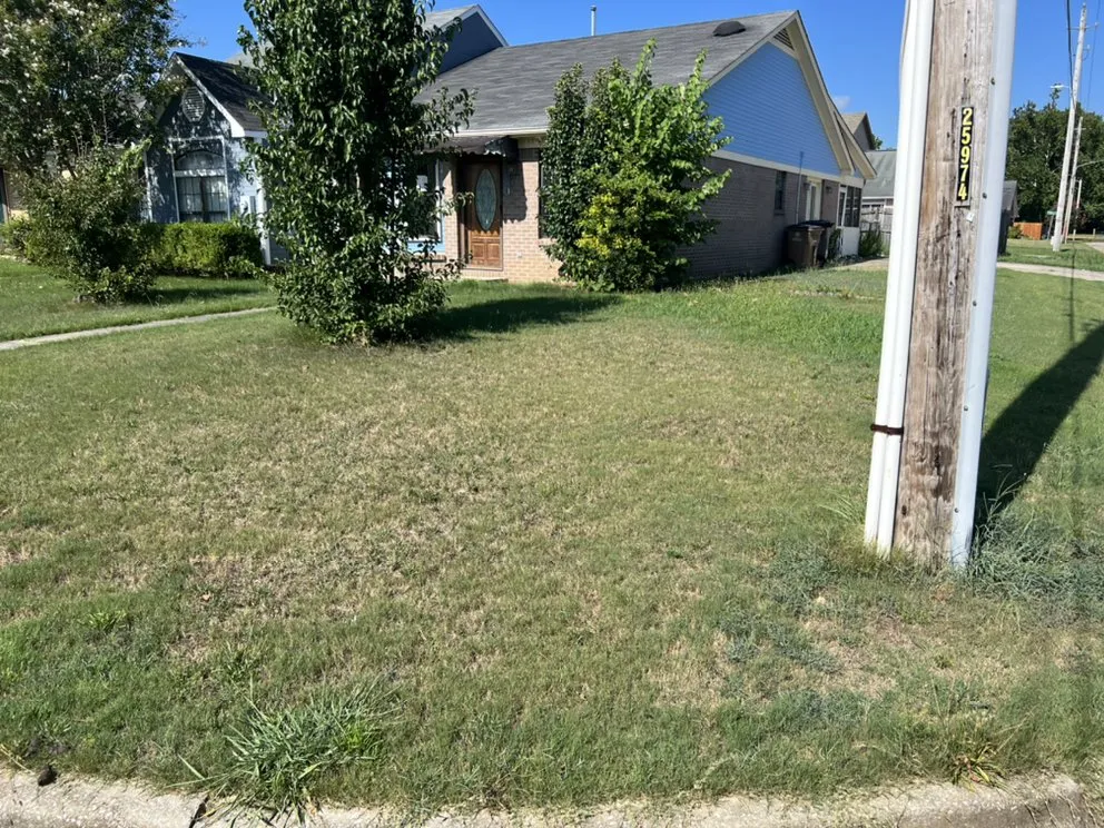 Affordable lawn care service for year-round maintenance across Decatur, AL - BlessedbyRO