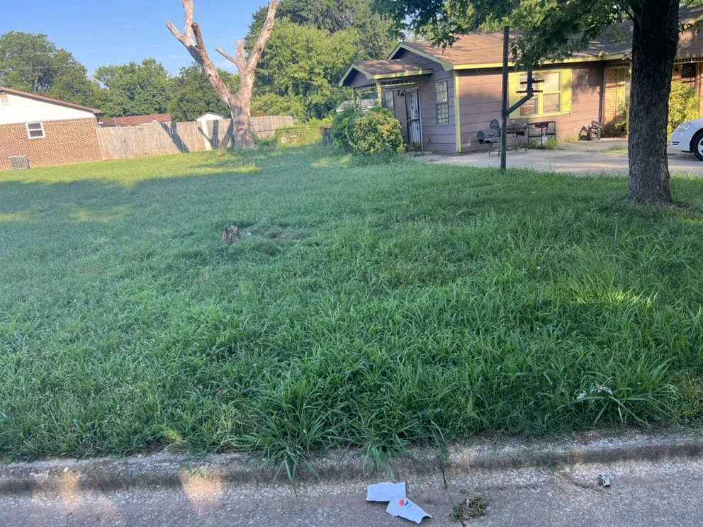 Affordable landscaping services experts serving Decatur, AL - BlessedbyRO