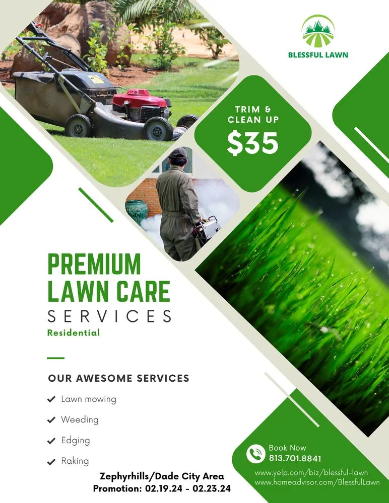 Expert yard cleanup service experts serving Zephyrhills, FL - Blessful Lawn