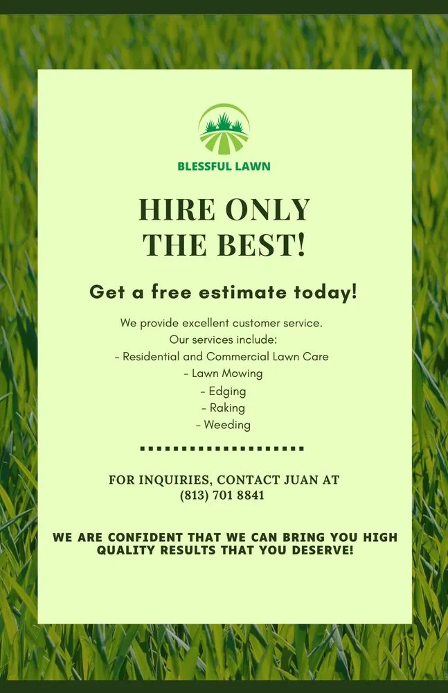 Affordable yard cleanup service experts serving Zephyrhills, FL - Blessful Lawn