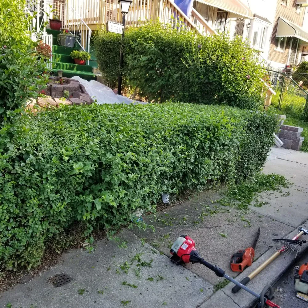 Trusted yard maintenance in Philadelphia, PA - BlessHands LawnCare Service