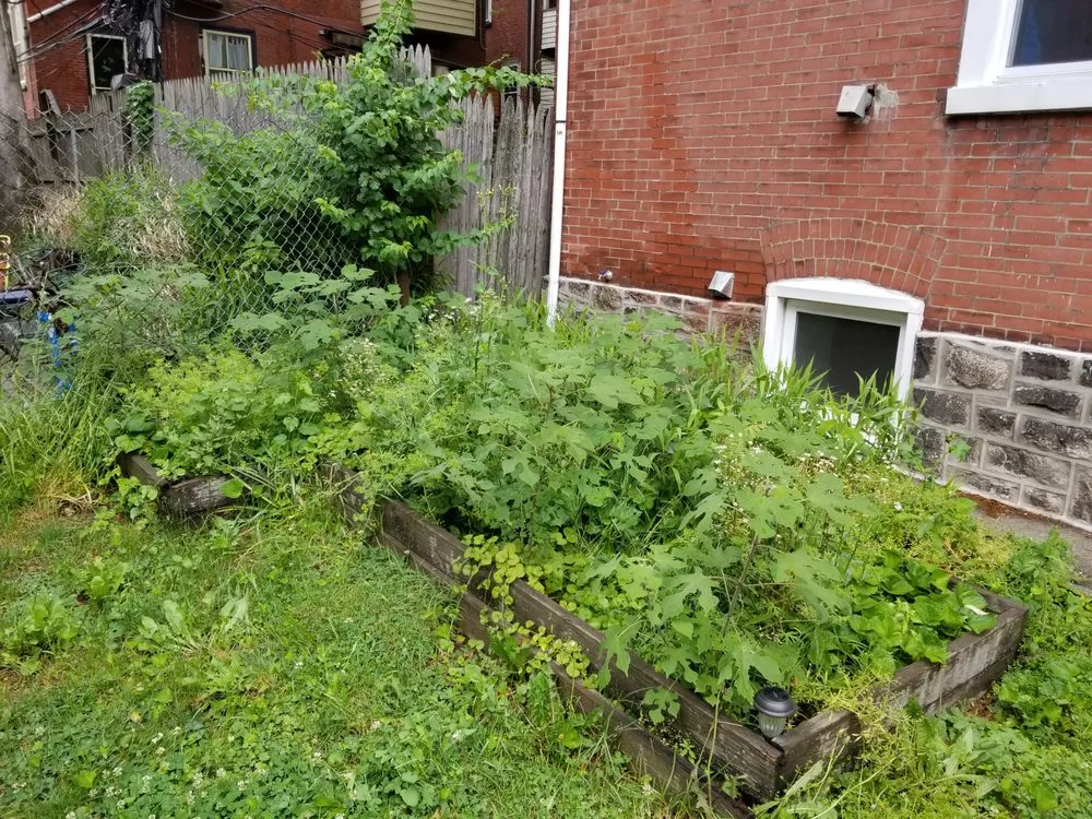 Affordable garden landscaping in Philadelphia, PA by BlessHands LawnCare Service