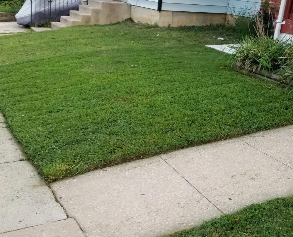 Top-rated yard maintenance in Philadelphia, PA - BlessHands LawnCare Service