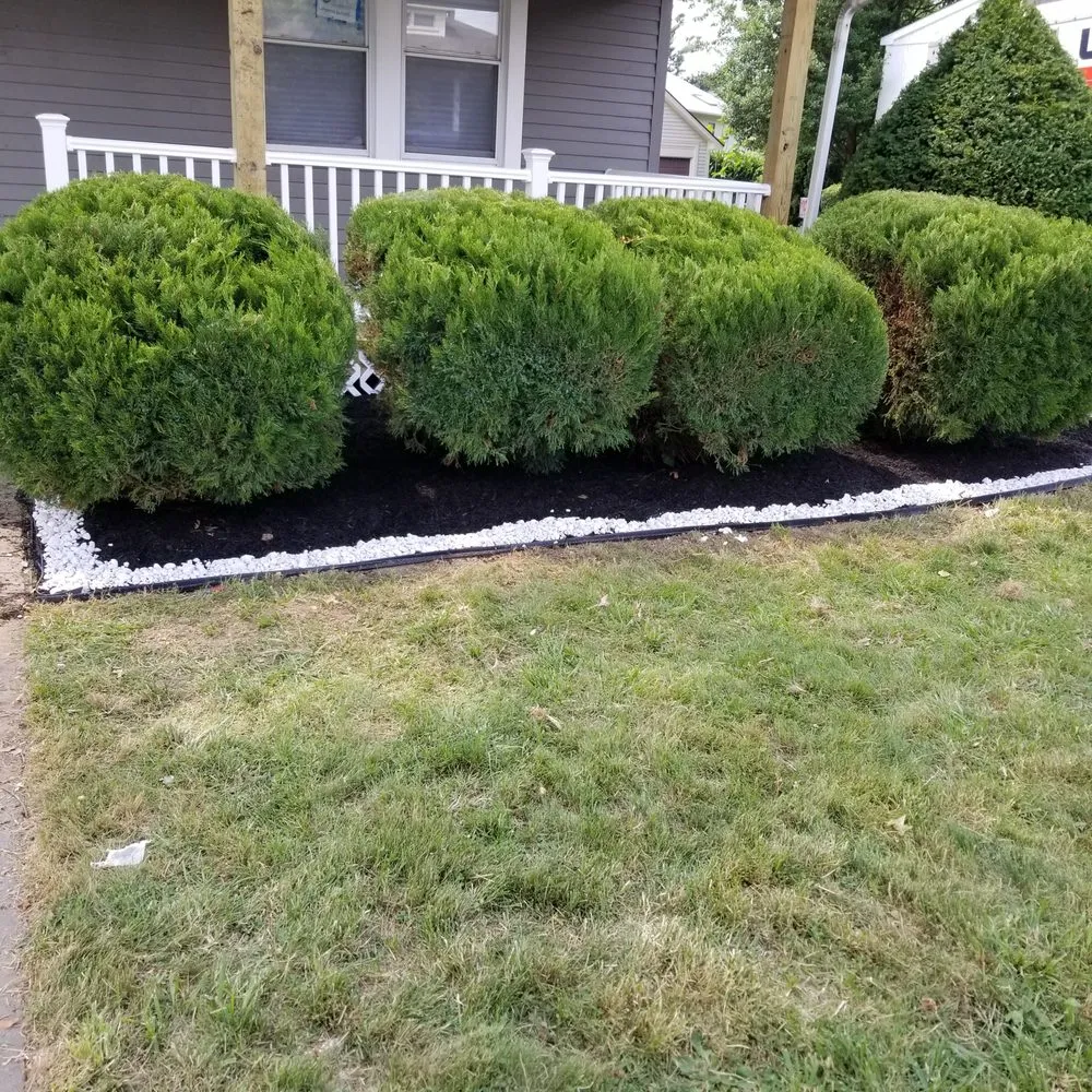 Expert yard cleanup service in Philadelphia, PA - BlessHands LawnCare Service