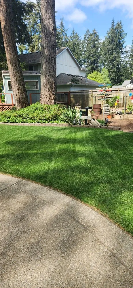 Professional yard maintenance in Centralia, WA by Blessing Day Landscaping