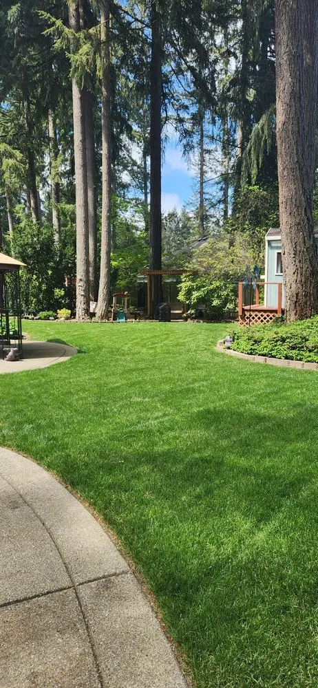 Affordable landscaping services for beautiful yards in Centralia, WA by Blessing Day Landscaping