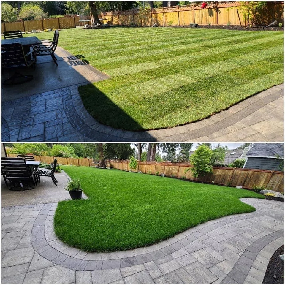 Reliable landscape installation near you across Tumwater, WA - Blessing Day Landscaping