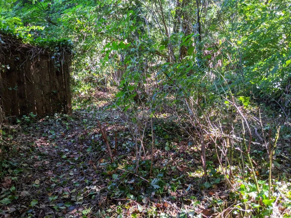 Local landscape installation near you across Tumwater, WA - Blessing Day Landscaping