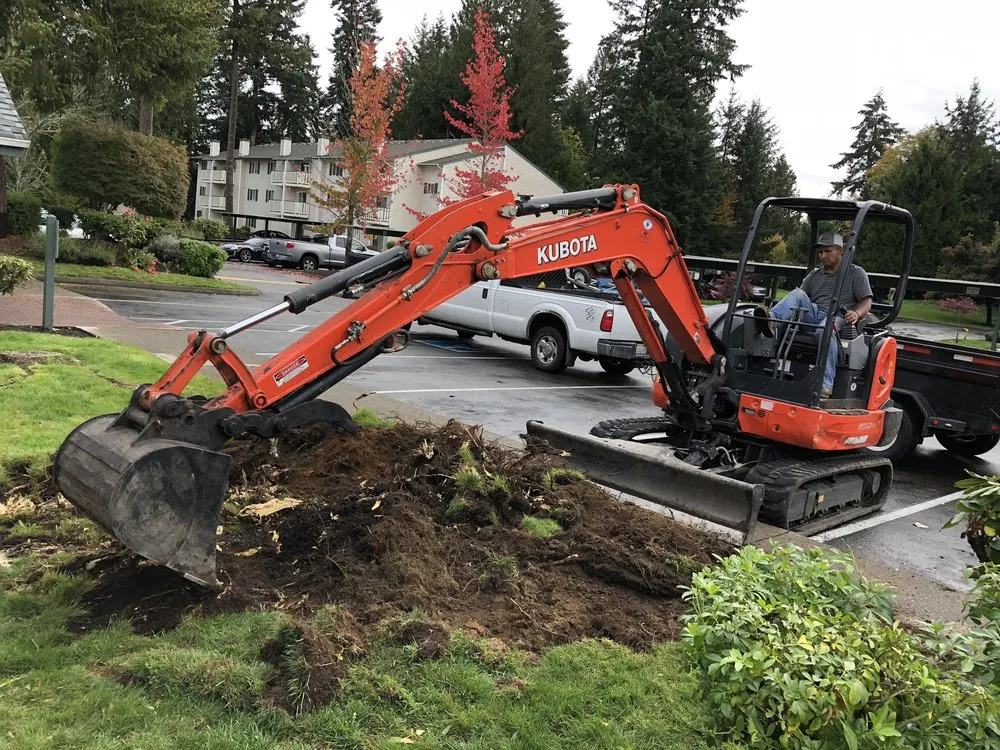 Affordable lawn care service for homes across Tumwater, WA - Blessing Day Landscaping