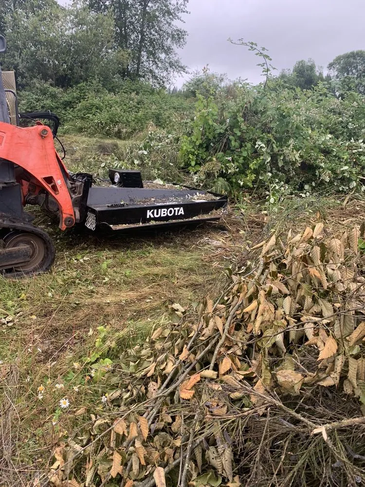 Expert outdoor landscaping in Tumwater, WA - Blessing Day Landscaping