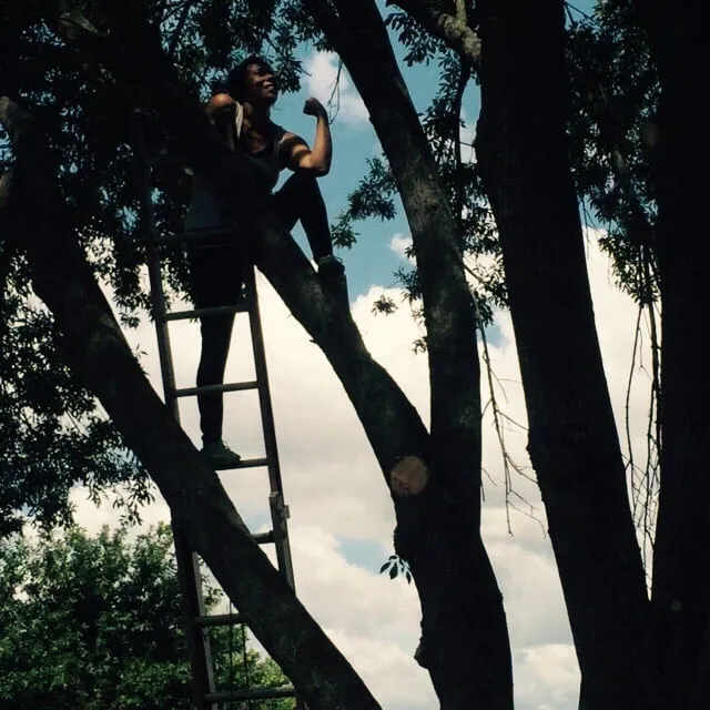 Top-rated yard maintenance for homes in New Braunfels, TX by Blessings Contracting & Lawn Services