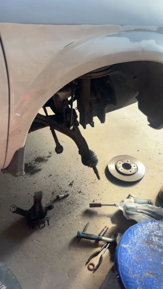 Top-rated lawn care service for outdoor upgrades across Live Oak, FL - Blessings From the Sky