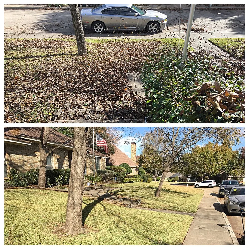 Professional landscape installation experts serving Arlington, TX - Blessit Lawn Service