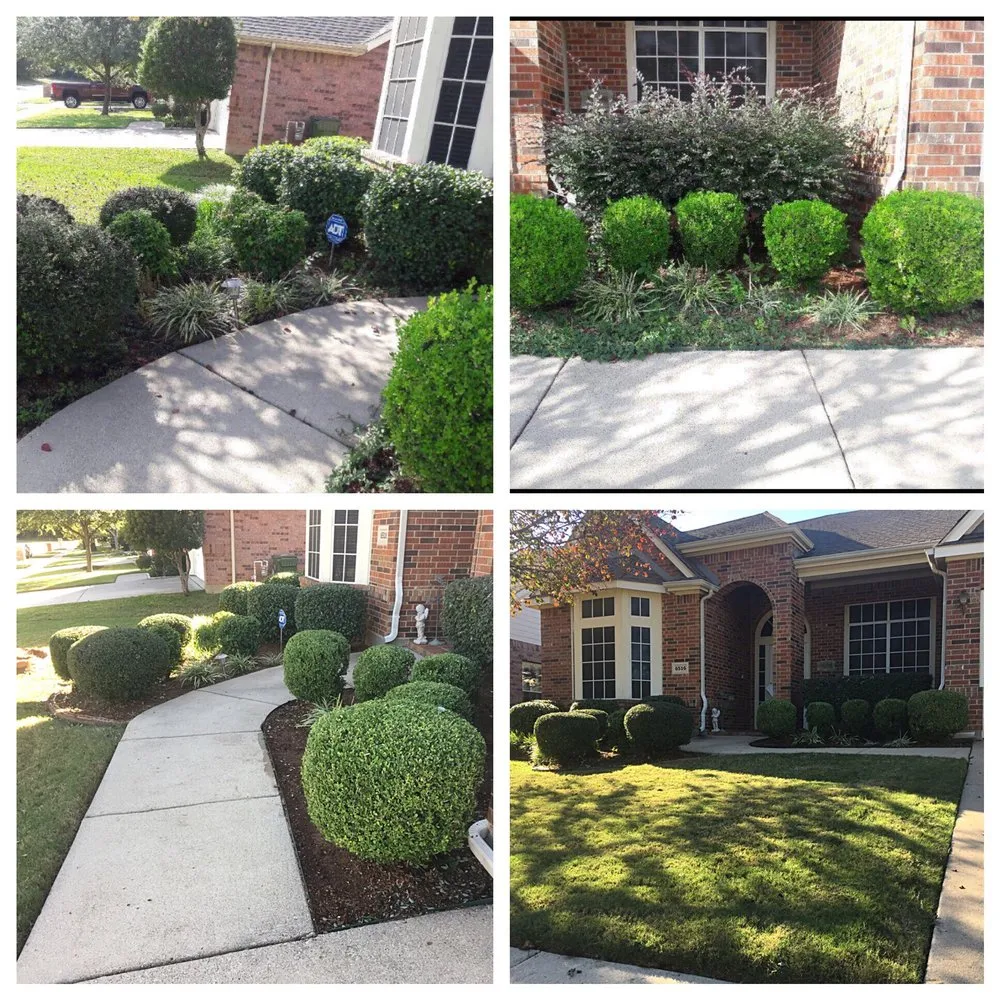 Affordable landscape installation in Arlington, TX by Blessit Lawn Service