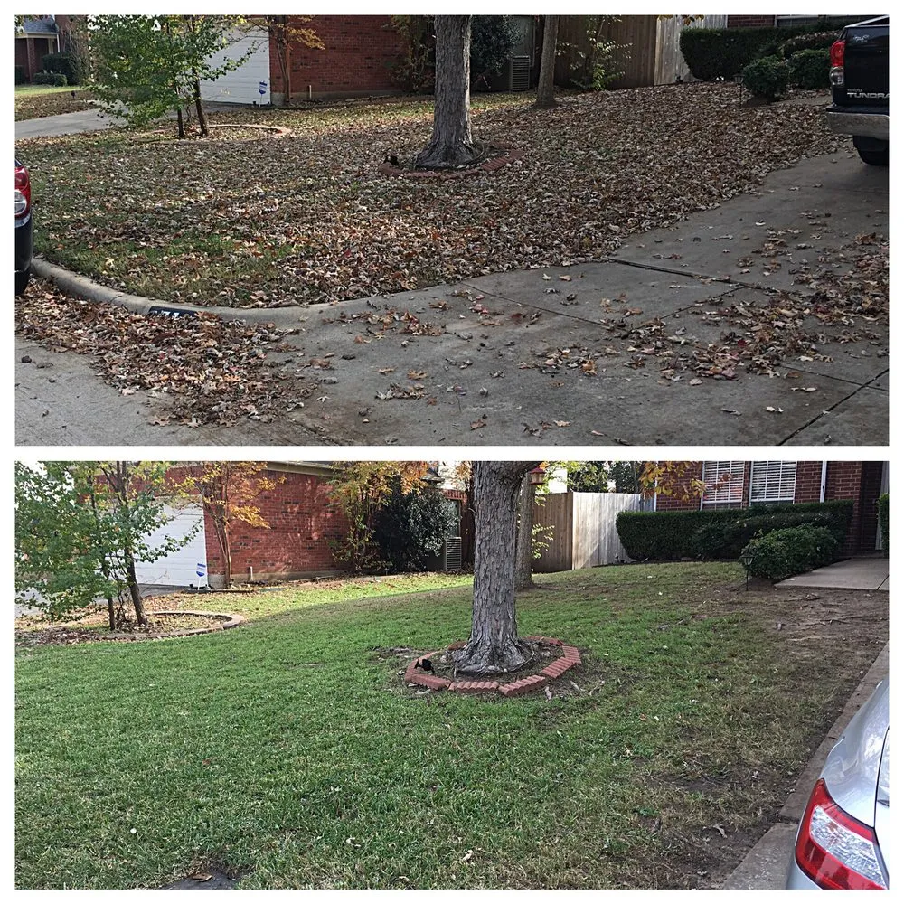 Expert yard maintenance in Arlington, TX by Blessit Lawn Service