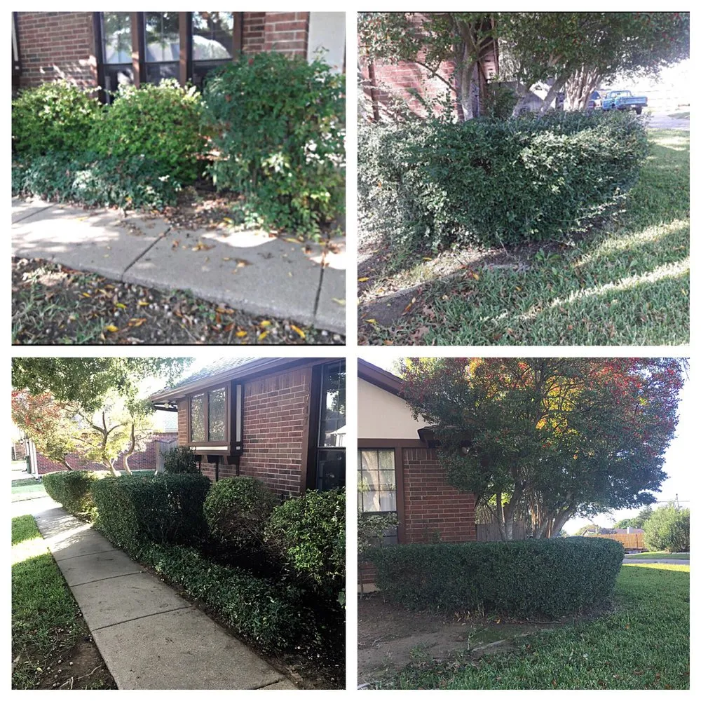 Reliable lawn care service in Arlington, TX by Blessit Lawn Service