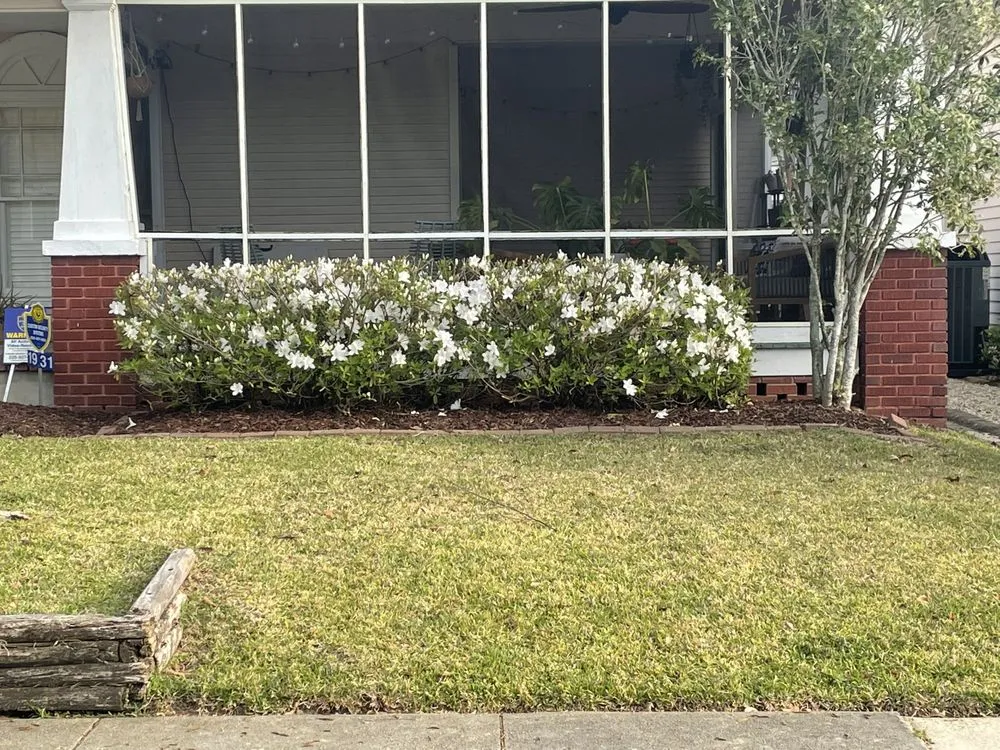 Professional yard maintenance in Baton Rouge, LA by Bleu Bush Landscaping