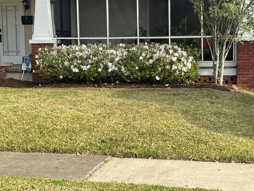 Expert landscape design for outdoor upgrades in Baton Rouge, LA by Bleu Bush Landscaping