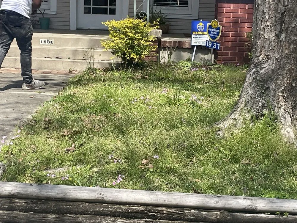 Expert landscape design in Baton Rouge, LA by Bleu Bush Landscaping